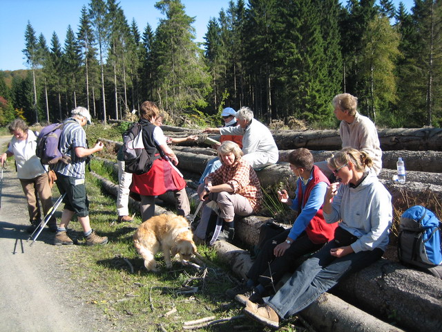 Brotzeit auf Kyrill-Holz!